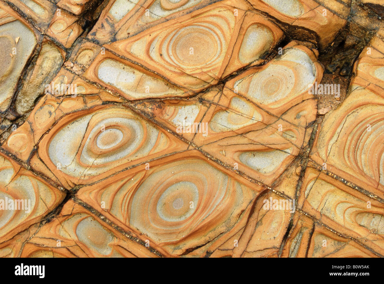 Le formazioni rocciose, Widemouth Bay Bude, North Cornwall, Inghilterra, Regno Unito. Foto Stock