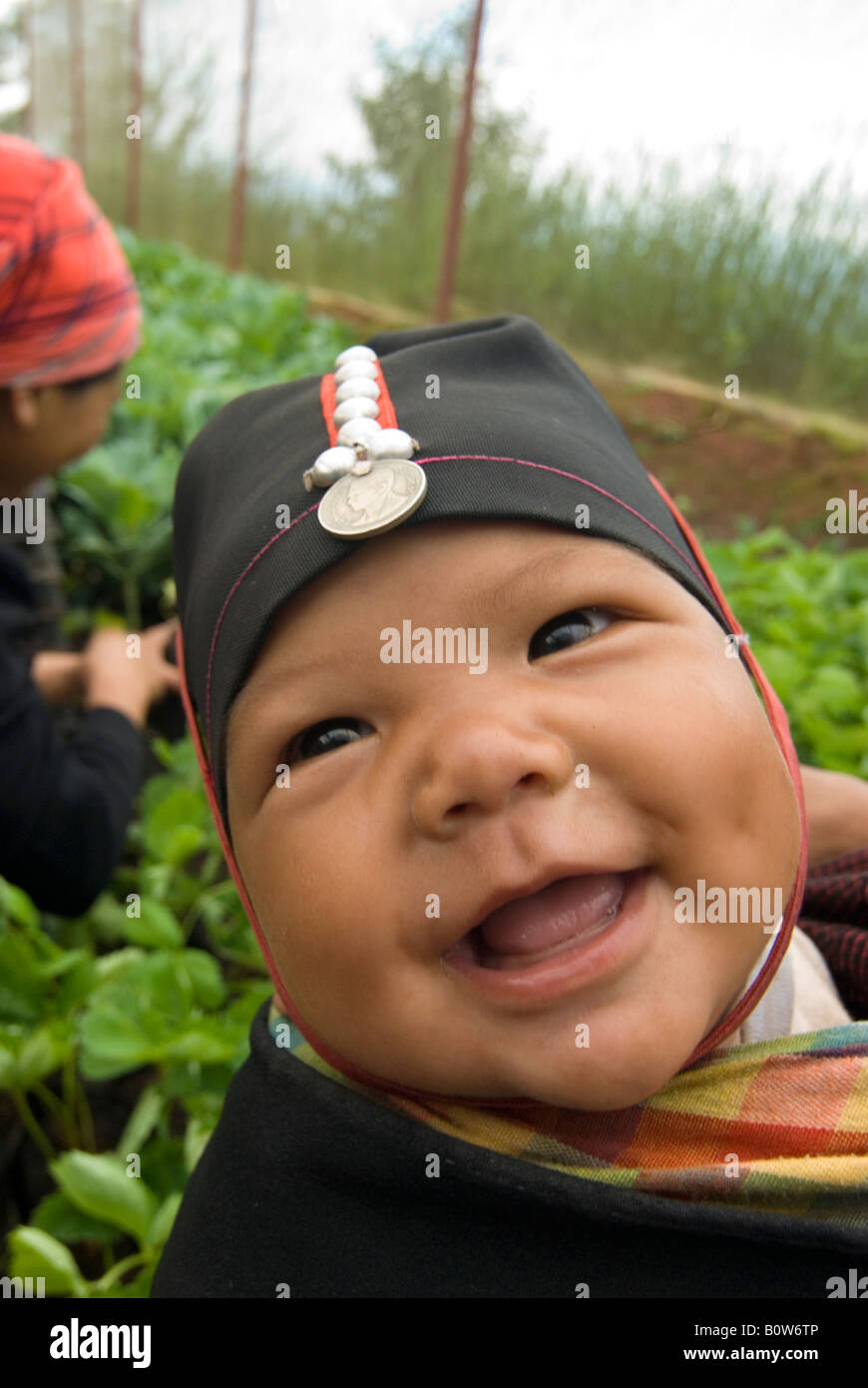 Un sorridente Akha baby rides sua madre mentre lei impianti presso l'Highland progetto agricolo Chiang Mai Thailandia Foto Stock