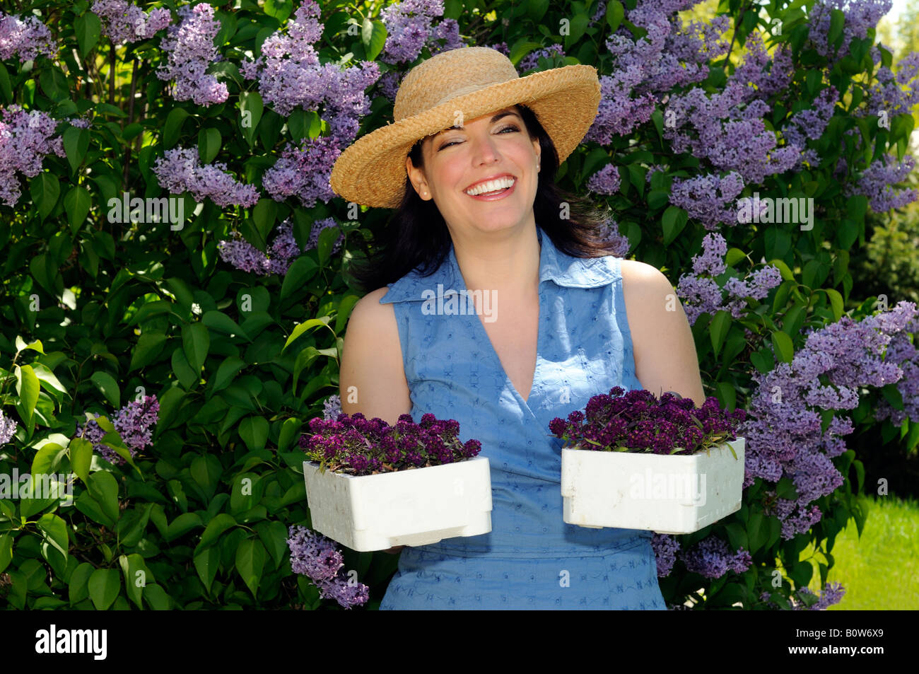 Donna con il giardiniere piante annuali Foto Stock