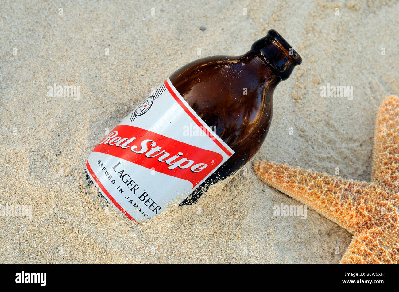 Bottiglia vuota di giamaicano Red Stripe Beer lavato fino a una spiaggia con una stella di mare Foto Stock