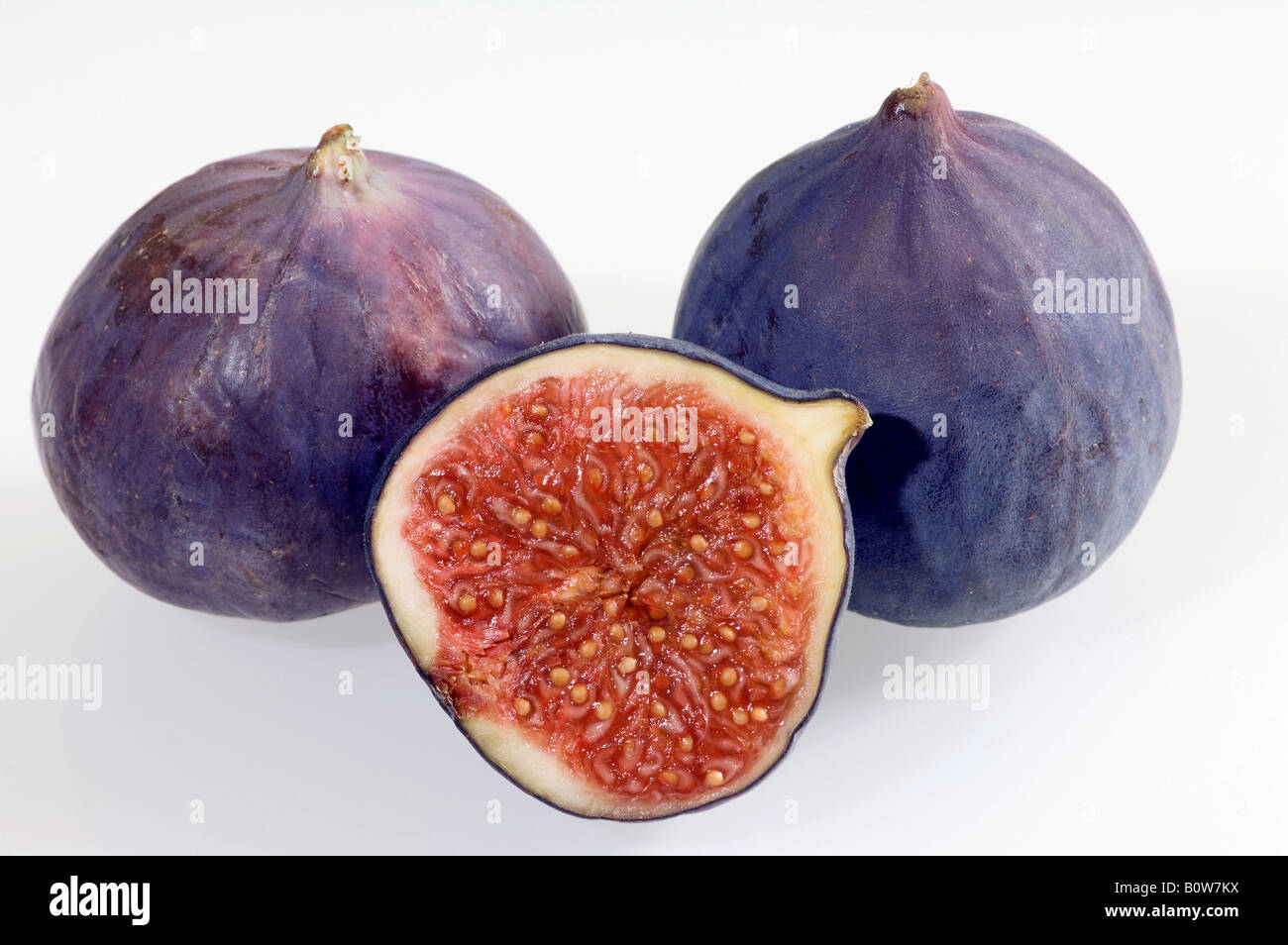 Figg (Ficus carica) Foto Stock
