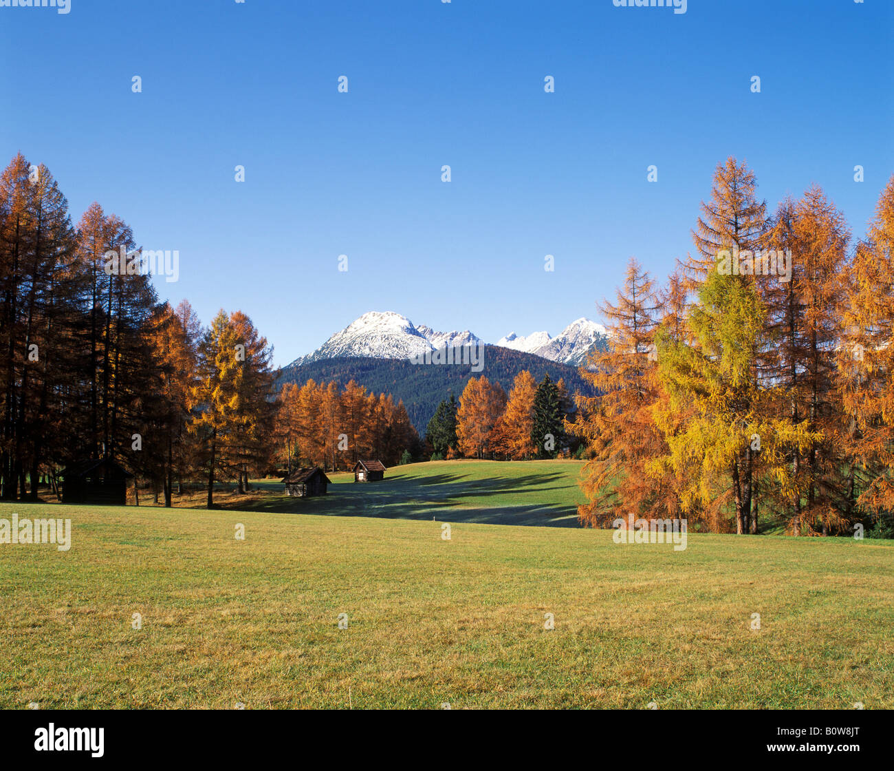 Altopiano di Mieming, Tirolo, Austria, Europa Foto Stock