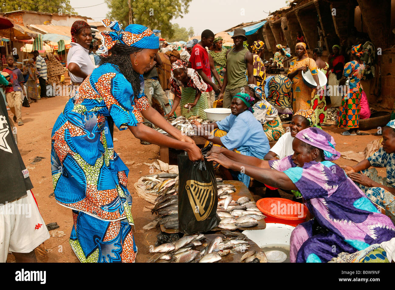 Donna shopping per il pesce in un mercato, Garoua, Camerun, Africa Foto Stock