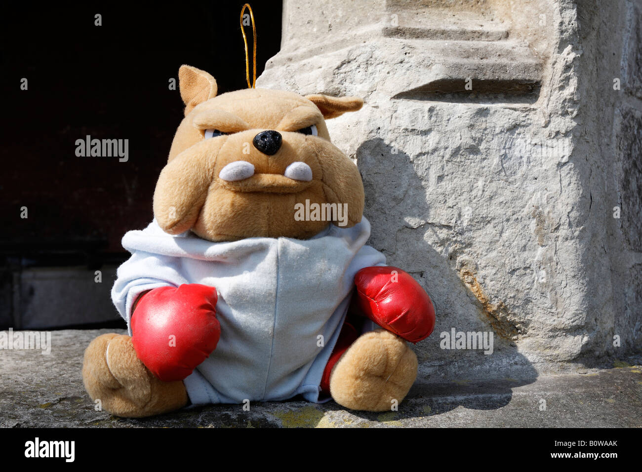 Giocattolo imbottito bulldog rosso indossa guantoni da pugilato Foto Stock