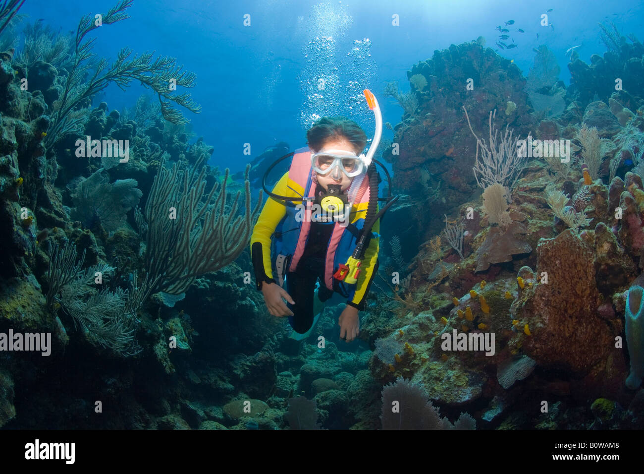 Madre e figlia scuba diving, Roatan in Honduras Caraibi Foto Stock