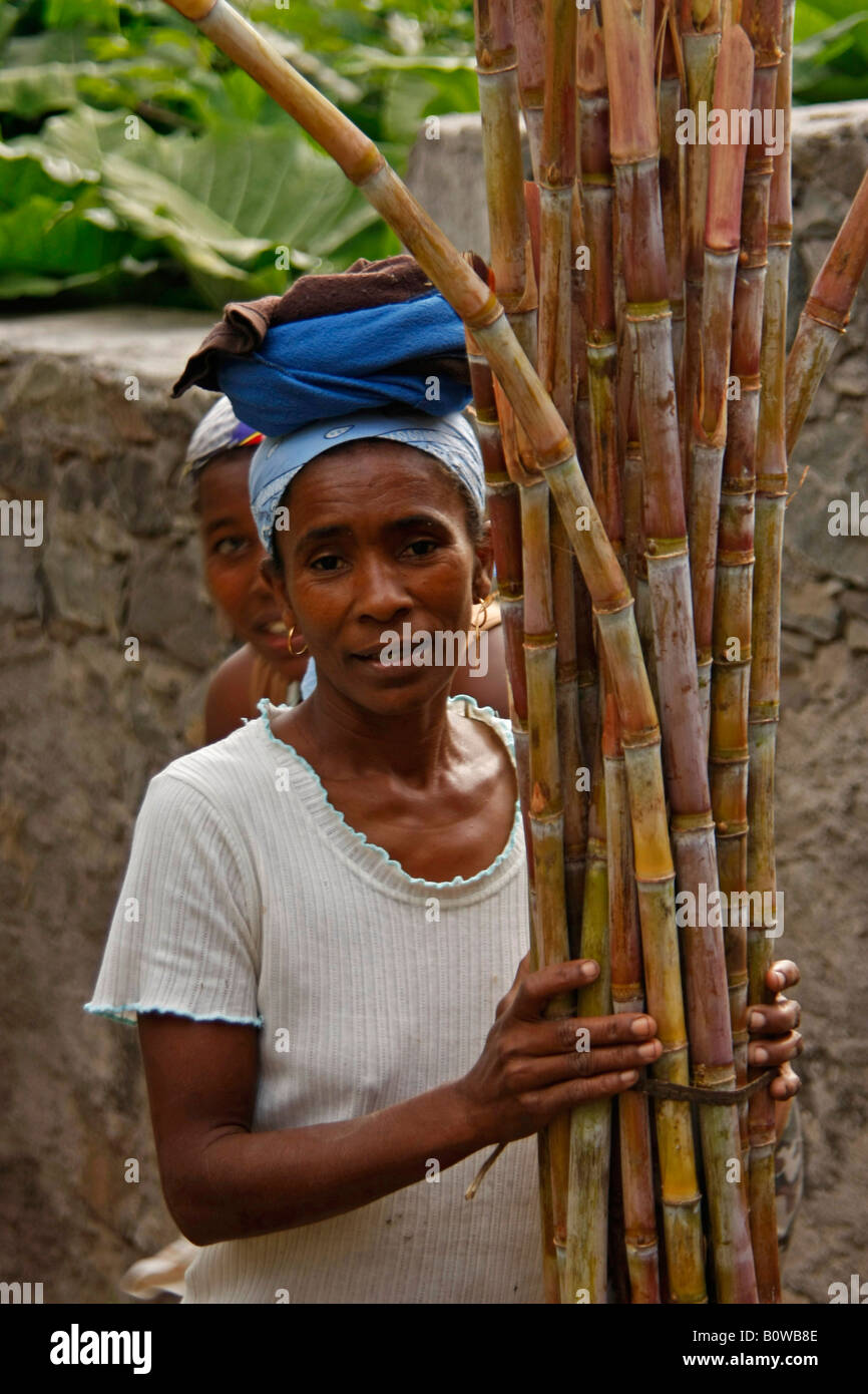 La donna la raccolta di canna da zucchero, Santo Antao Isola Capo Verde Foto Stock