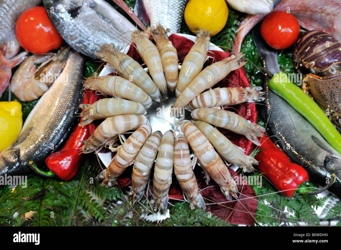 Gamberetti venduti al mercato del pesce ad Istanbul in Turchia Foto Stock