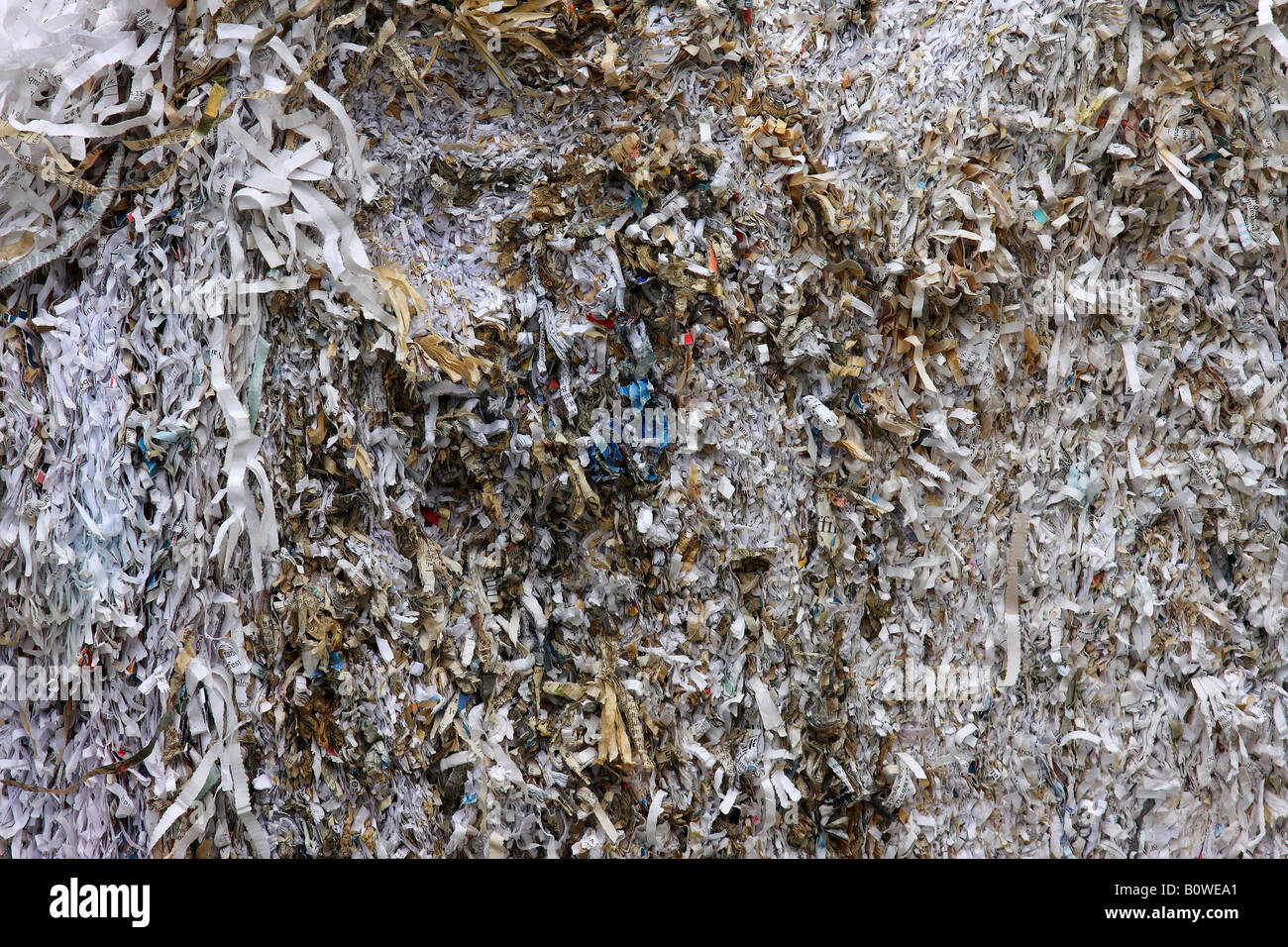 La carta tagliuzzata per il riciclaggio Foto Stock