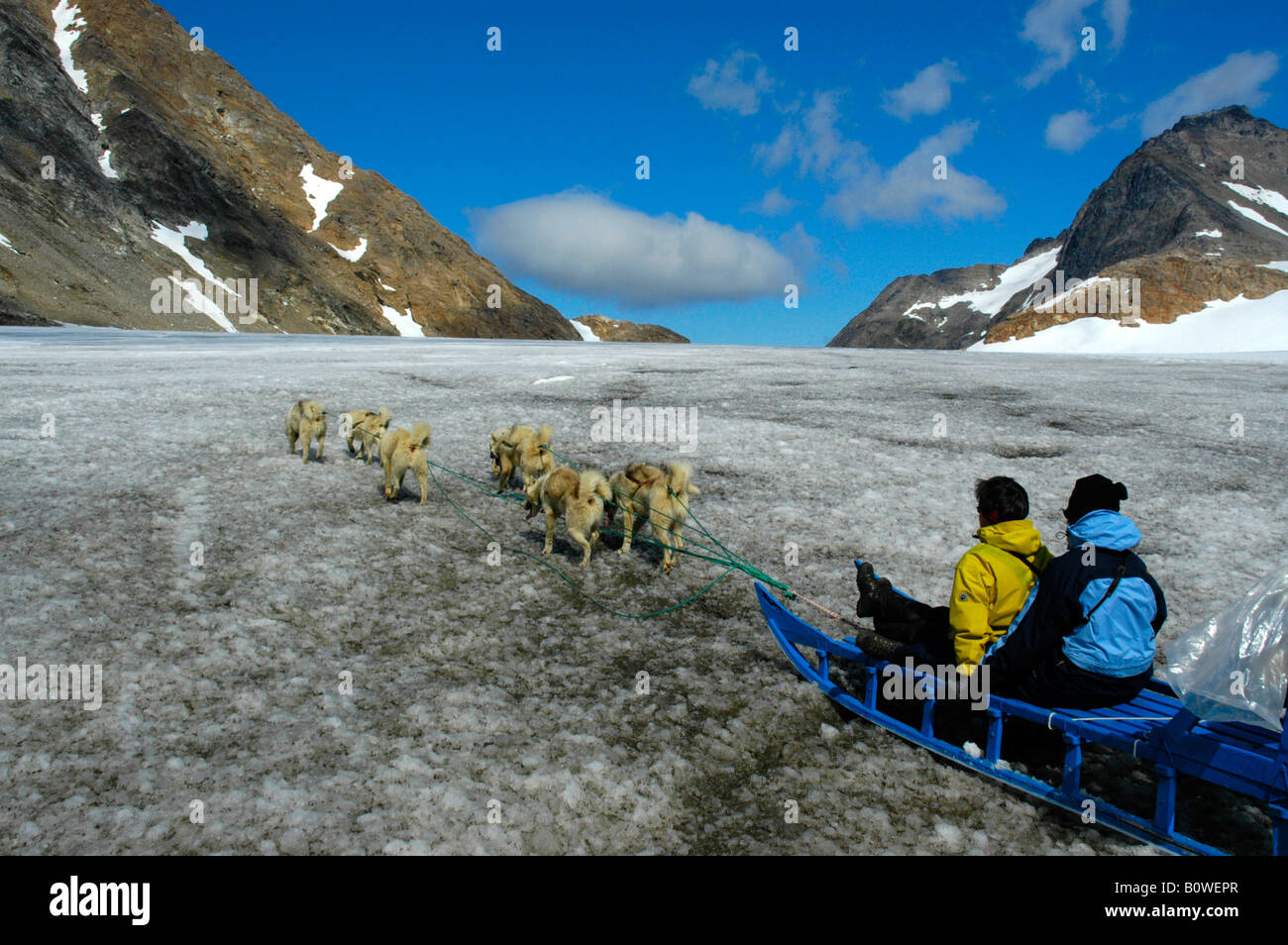 Sled Dog team guidato da Inuit groenlandese, Apusiak Glacier, est della Groenlandia, Arctic Foto Stock
