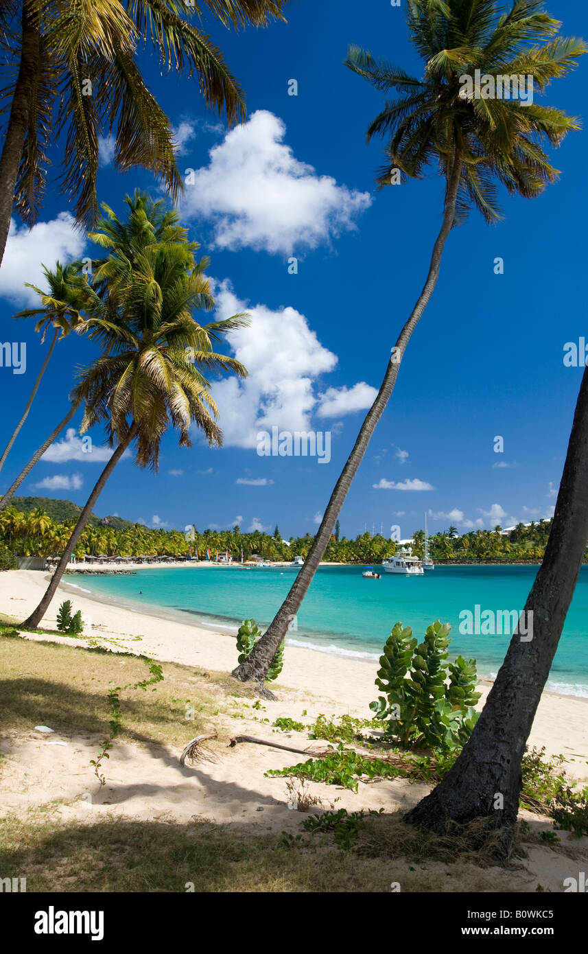 Morris Bay, Antigua, West Indies Foto Stock