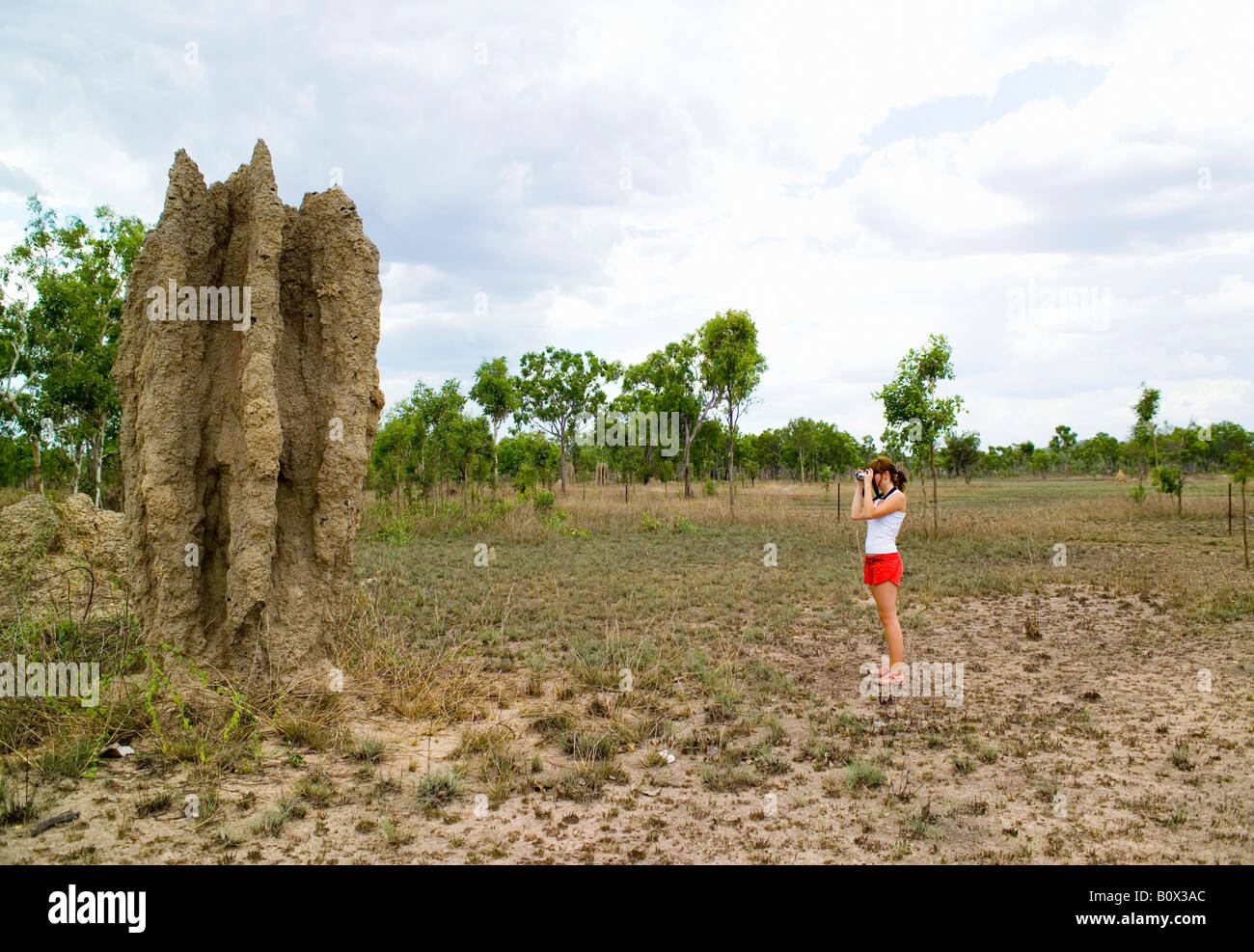 Una donna di fotografare una termite mound Foto Stock