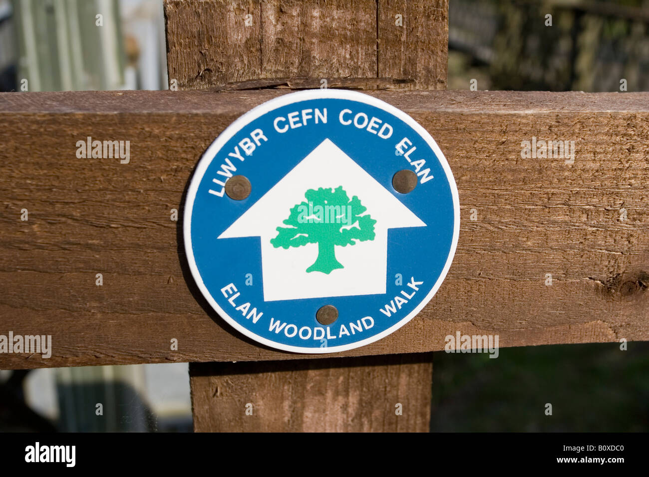 Segnavia blu segno sul palo di legno Elan bosco a piedi Clywedog Station Wagon Powys Wales UK Foto Stock