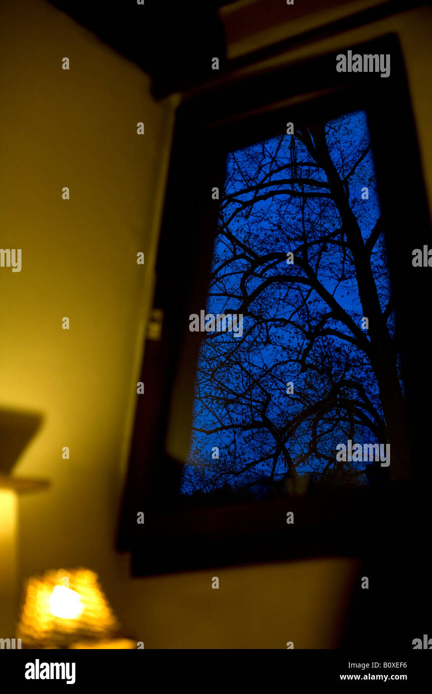 Un giorno nelle Ardenne, la vita all'aperto, grandi fughe, la notte nella foresta Foto Stock