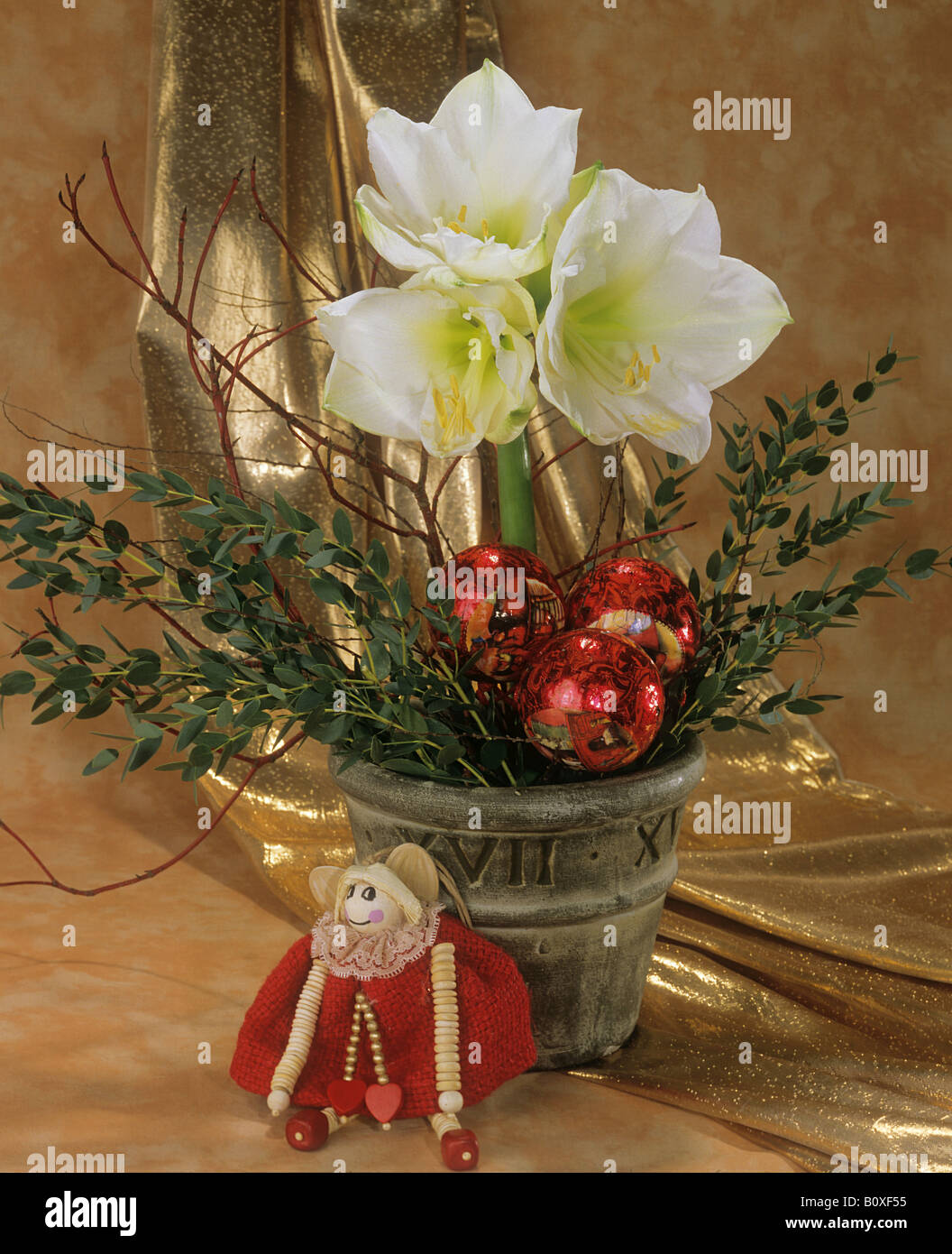 Bouquet con amaryllis bianco Foto Stock