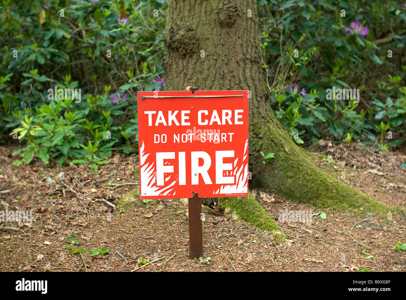 Prendersi cura di avviso incendio segno nel bosco di Norfolk Foto Stock