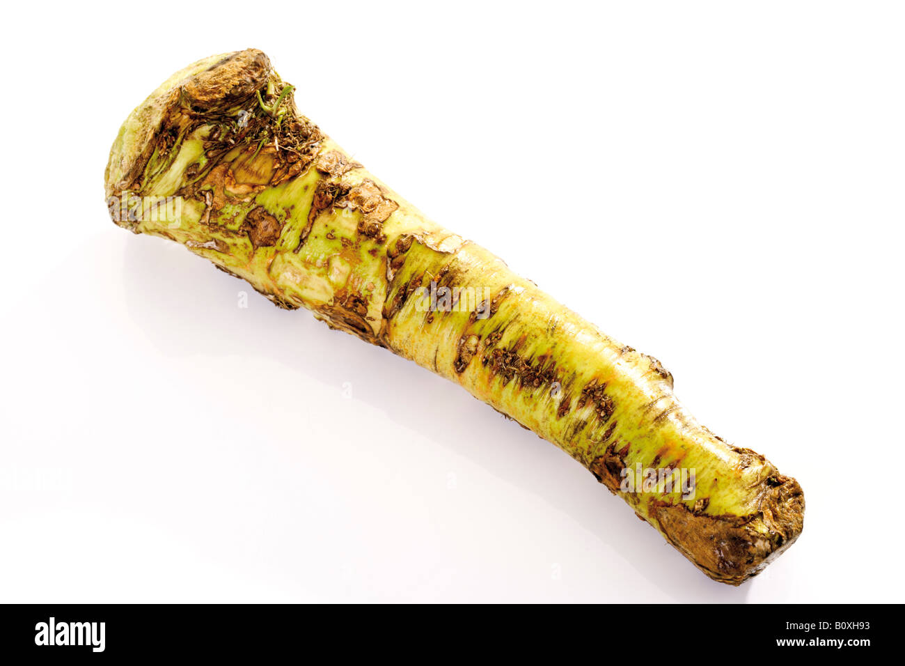 Rafano fresco Foto Stock