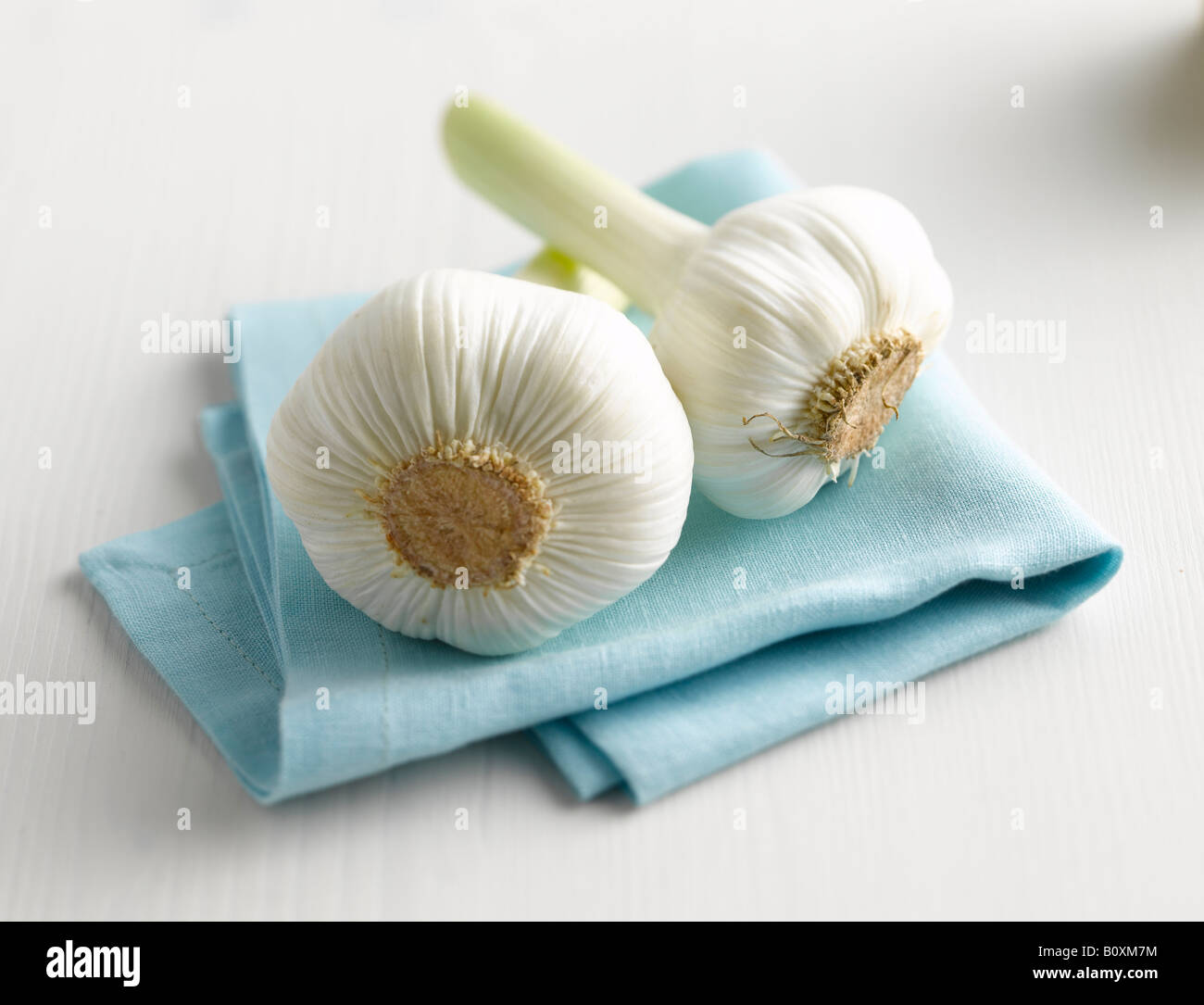 Aglio fresco sul tovagliolo Foto Stock