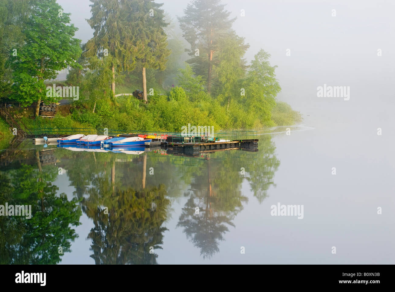 Germania, Schwarzenbach, lago di storage con la nebbia Foto Stock