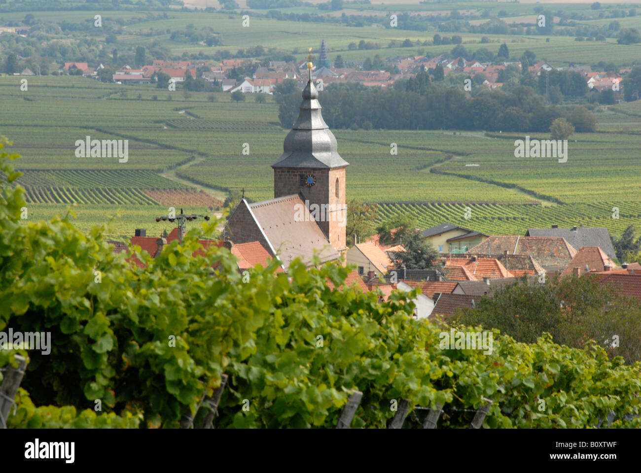 Vista su Burrweiler al tedesco via del vino, in Germania, in Renania Palatinato, Palatinato Foto Stock