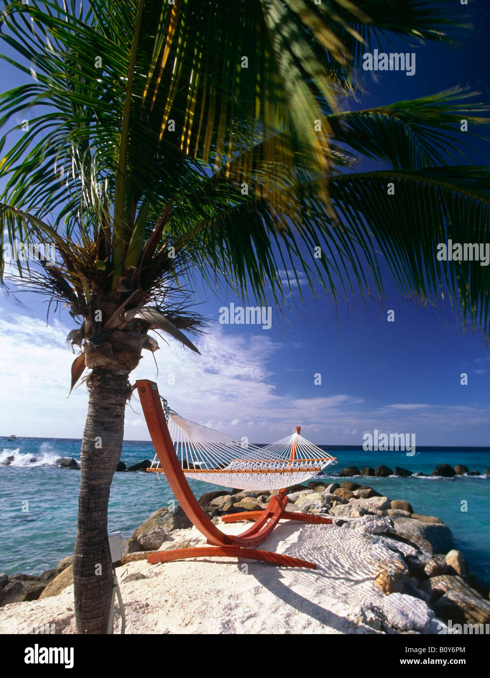 Amaca e un albero di Palme Isola rinascimentale Aruba Antille olandesi Foto Stock