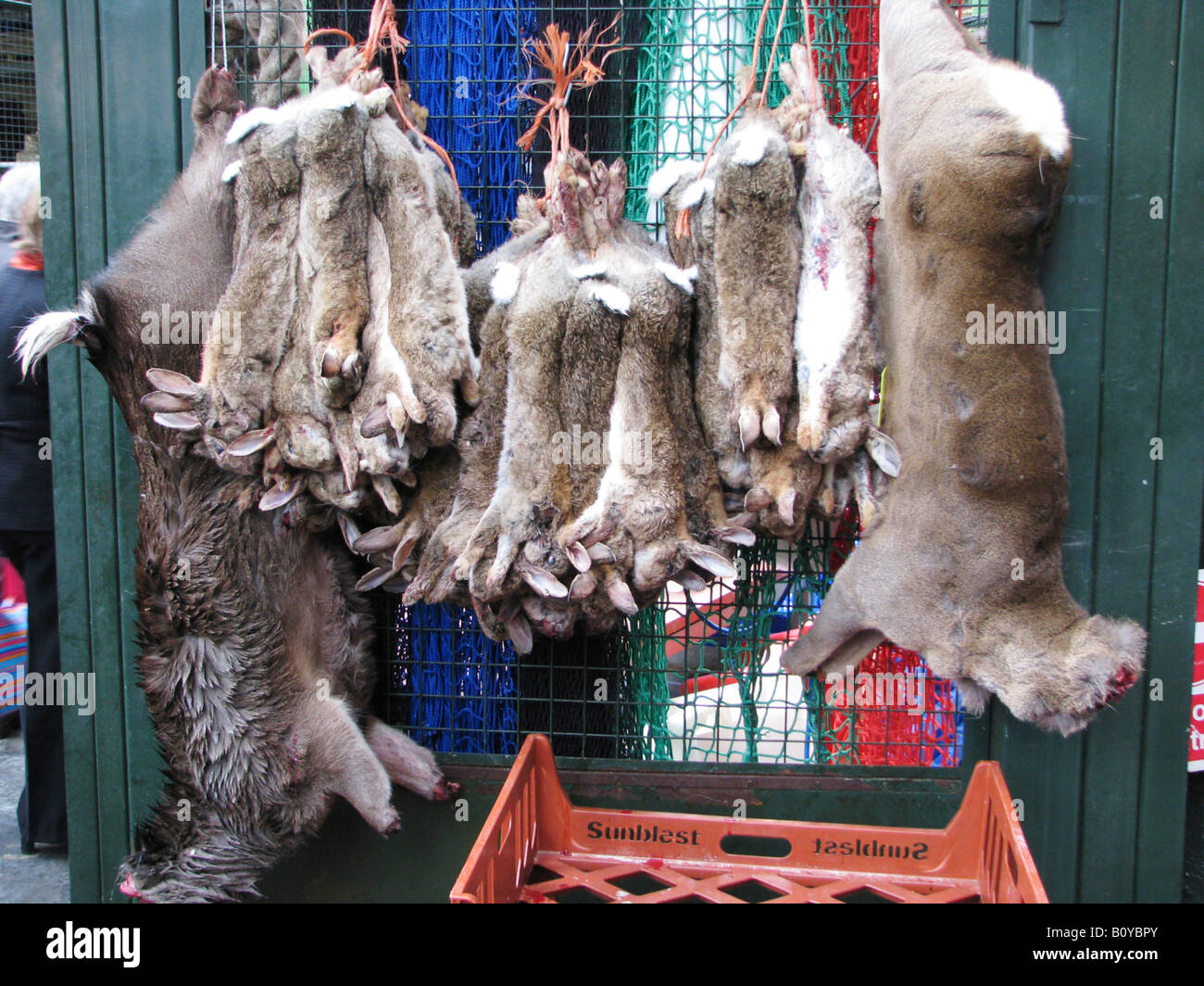 Morti i conigli, lepri e altri animali sono haning con il loro pelo per essere venduto sul mercato di Borough, Regno Unito, Londra Foto Stock