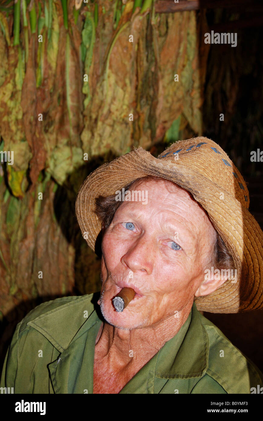 Un agricoltore del tabacco in Vinales prende tempo fuori a fumare un sigaro come il suo tabacco secco lascia dietro di lui Foto Stock