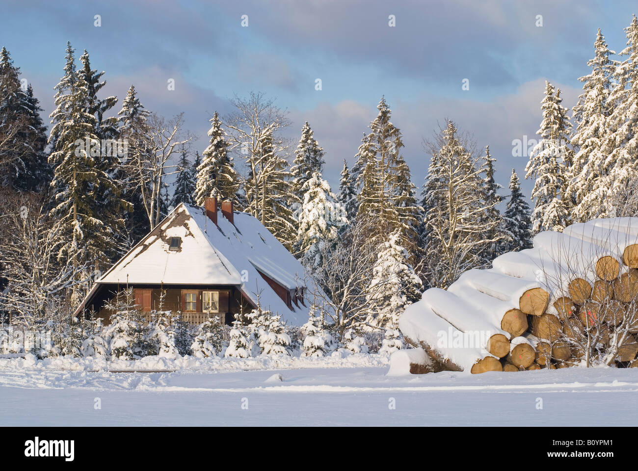 Germania, foresta nera, Breitnau, Schwarzwaldhaus, paesaggio invernale Foto Stock