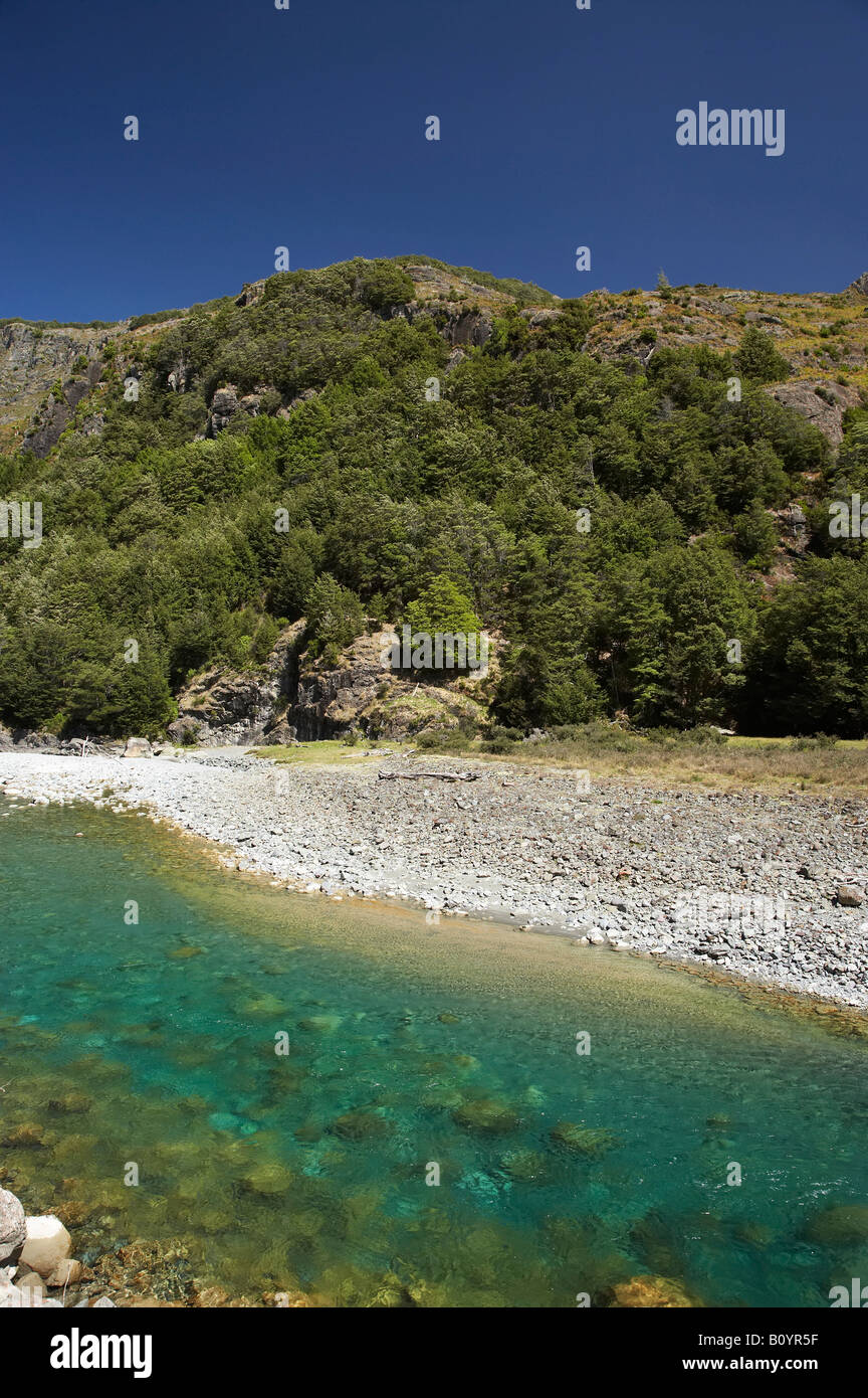 Greenstone Fiume Greenstone valle vicino al lago di Wakatipu Isola del Sud della Nuova Zelanda Foto Stock