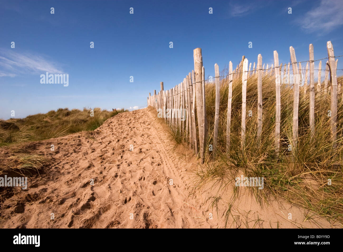 Bantham Beach recintata dune di sabbia Foto Stock