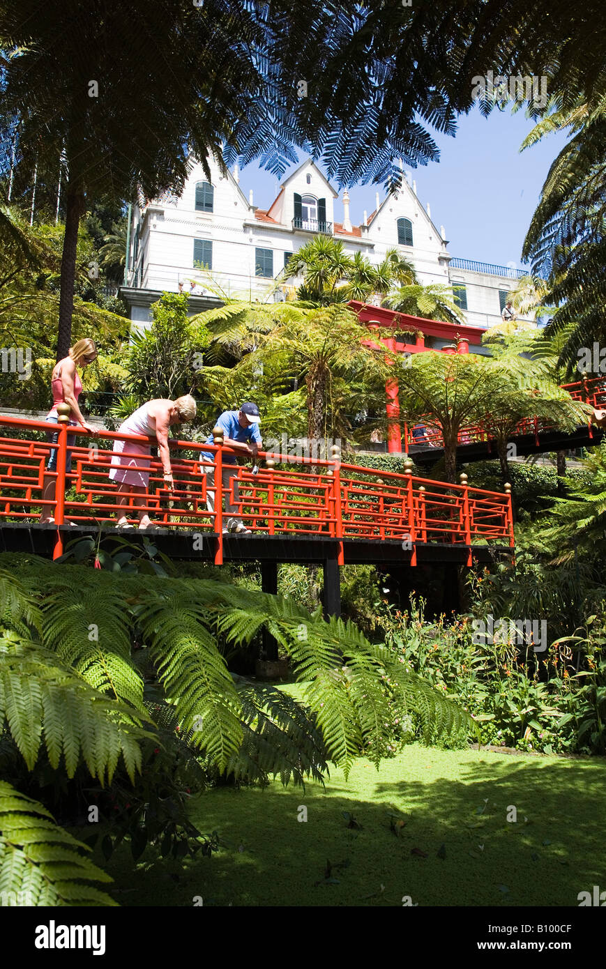 dh Monte Palace Giardino tropicale MONTE MADEIRA Famiglia turistica in giardino giapponese alla ricerca di rane Monte Palace costruzione giardini turistici Foto Stock