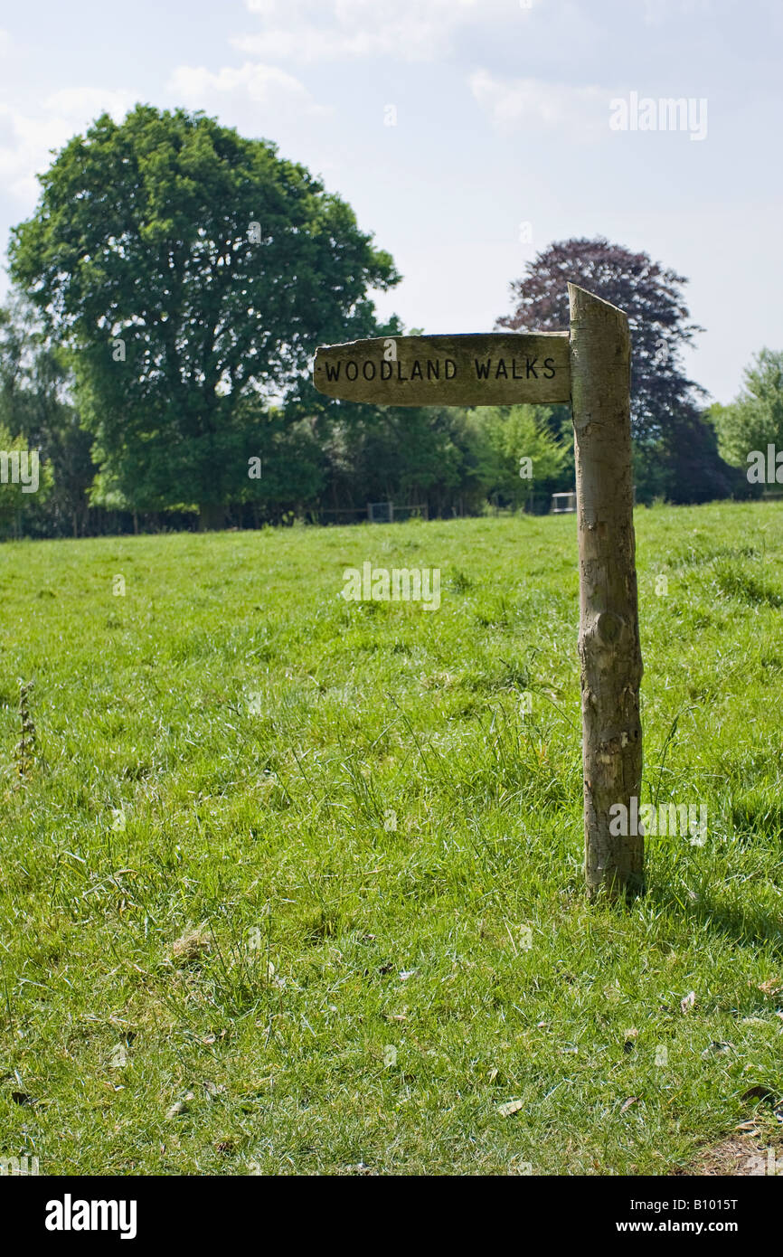 Alto cartello con scritto "Woodland Walks" nella campagna del West Sussex, Inghilterra, Regno Unito Foto Stock