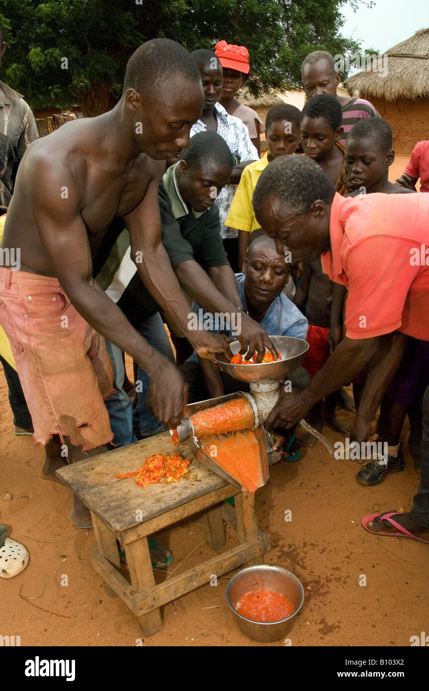 La trasformazione di pomodori localmente gli agricoltori cercano di ridurre le alte post perdite di raccolto, Kuluedor, Ghana Foto Stock