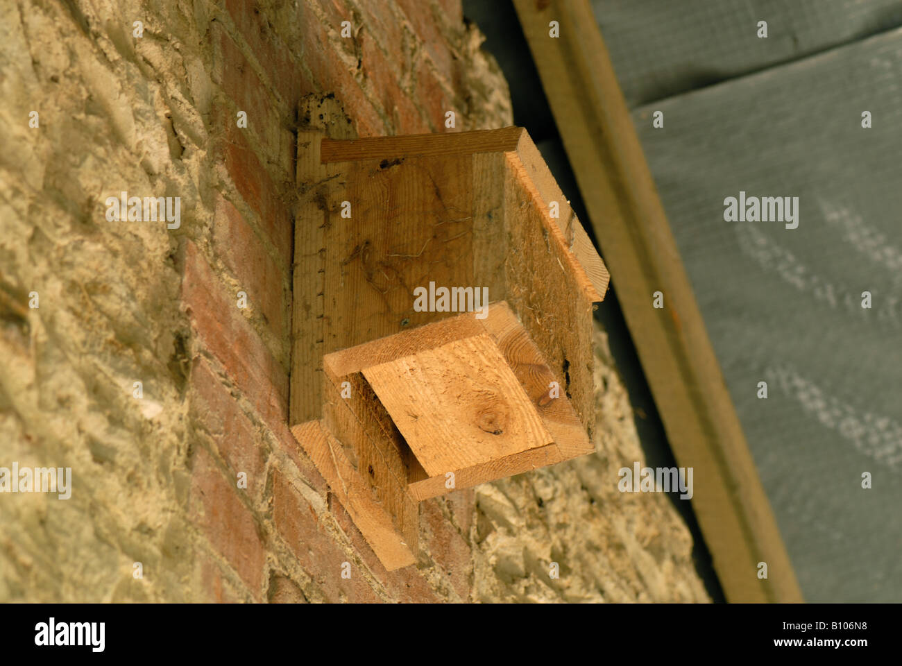 Bat box per pipistrelli sono ' appollaiati sulla parete interna di un fienile in pietra Foto Stock