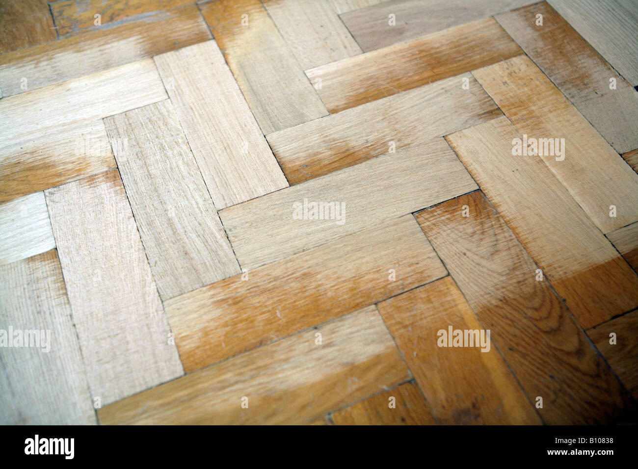 La levigatura bonificarono la pavimentazione in parquet di rovere. Foto Stock