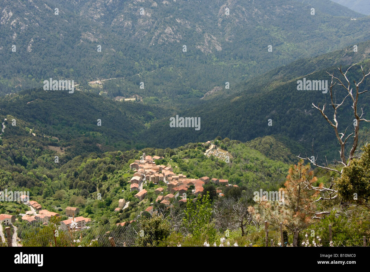 Il villaggio di montagna Soccia sulla Corsica Francia Foto Stock