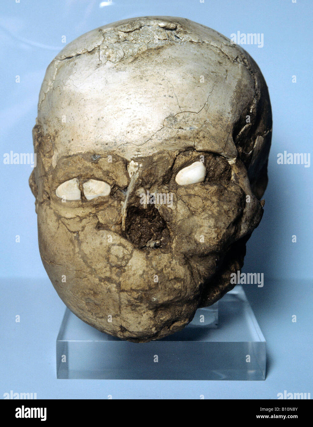 Neolitico cranio intonacata con guscio occhi 7000 BC Gerico Foto Stock