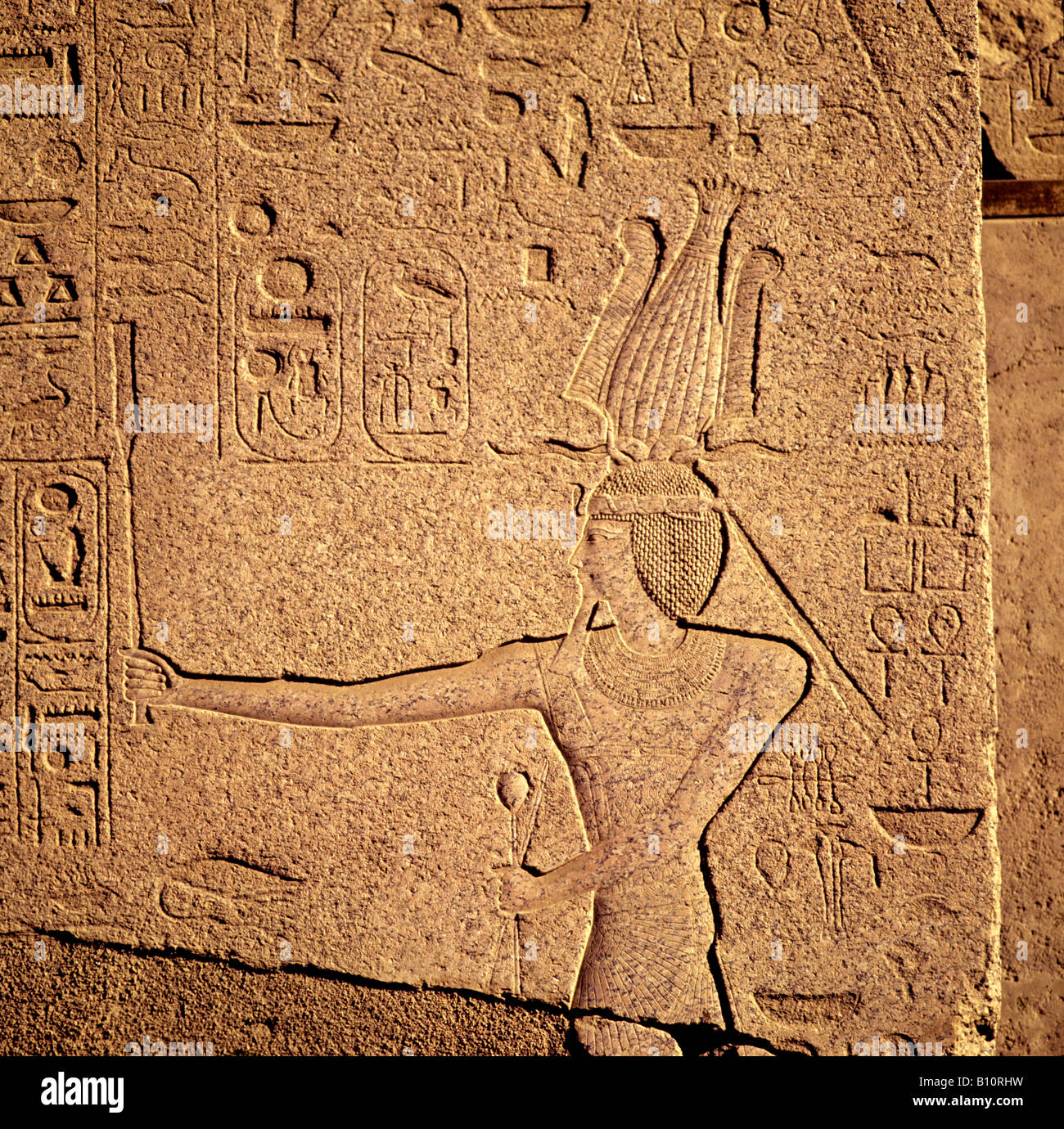 Hatshepsut come il faraone con la barba. Tempio di Karnak. Egitto Foto Stock