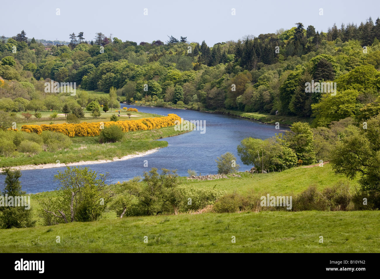 Paesaggio di maggio sul lungofiume scozzese; il fiume Dee e la campagna, Aberdeenshire, Peterculter, nr Aberdeen Scotland UK Foto Stock