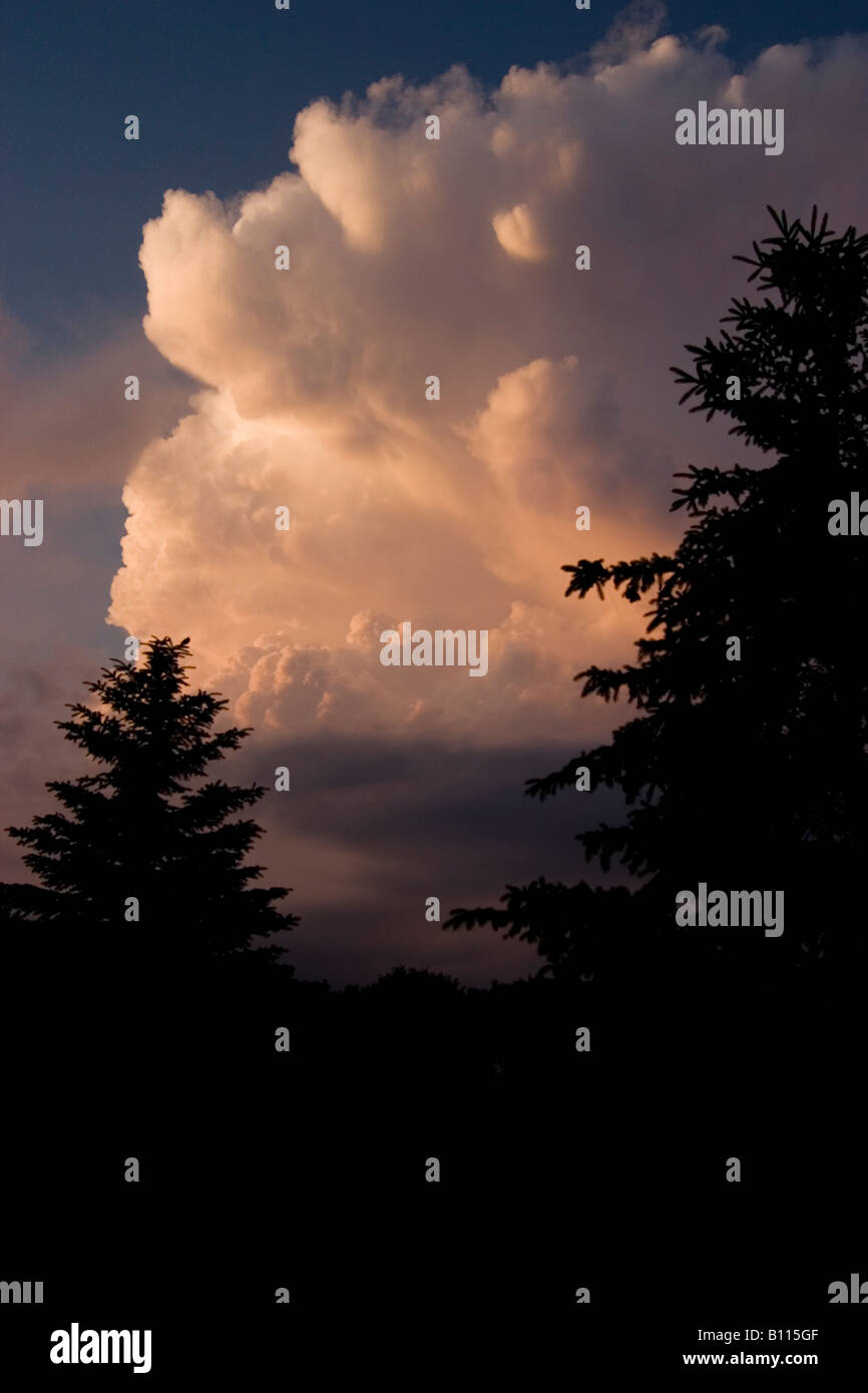 Cumulonimbus storm cloud nella luce della sera Foto Stock