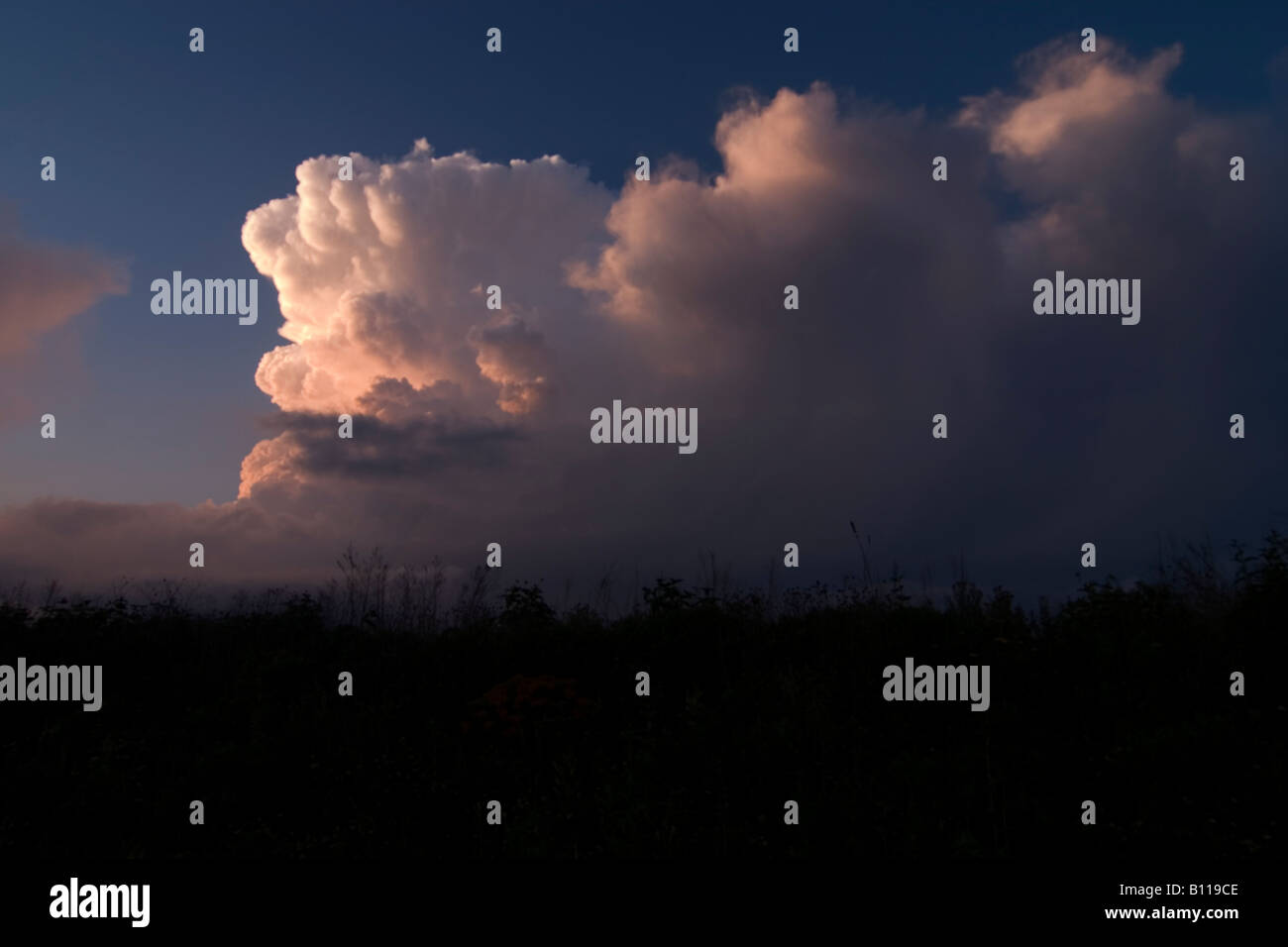 Cumulonimbus storm cloud nella luce della sera Foto Stock