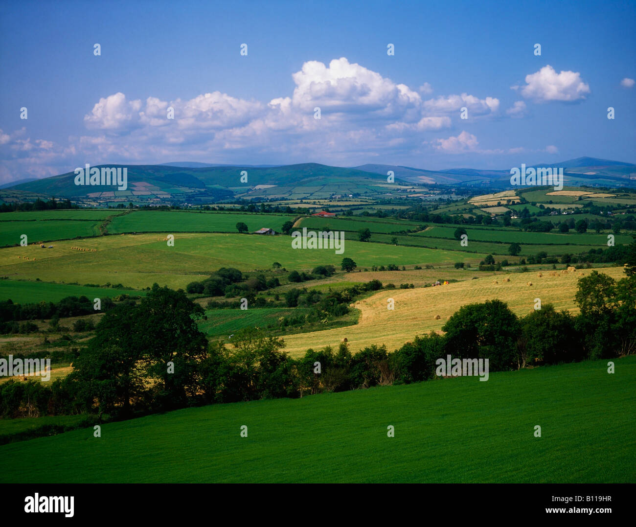 Regione pastorale, vicino Augrhim, County Wicklow, Irlanda Foto Stock