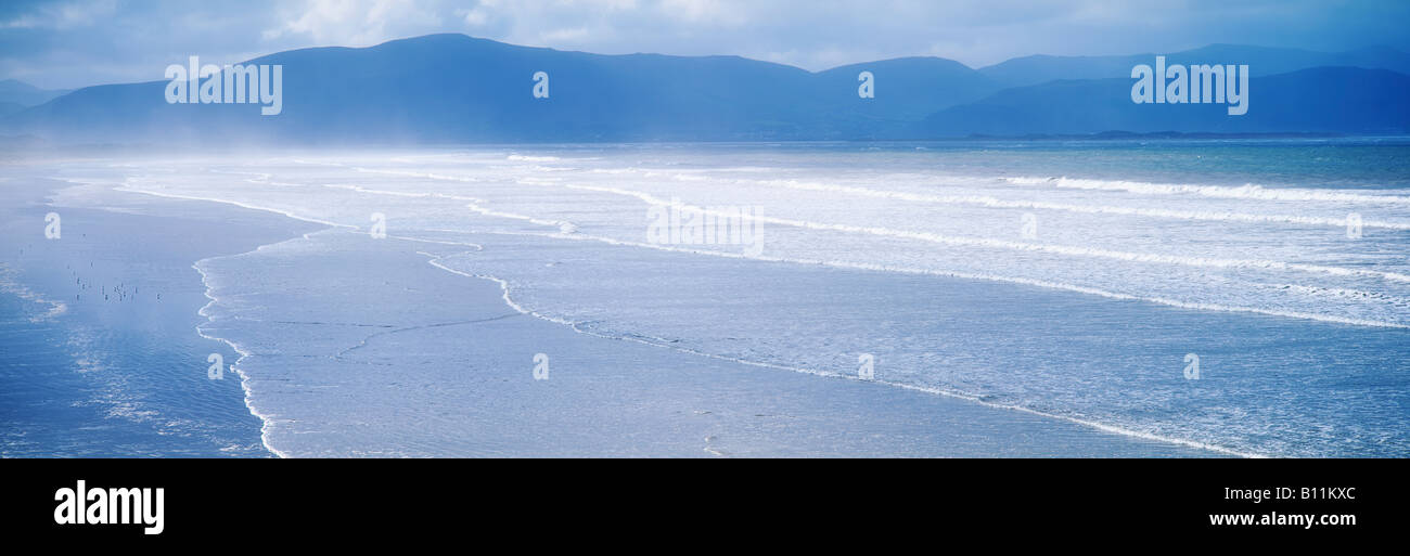 Co Kerry, pollici beach, Irlanda Foto Stock