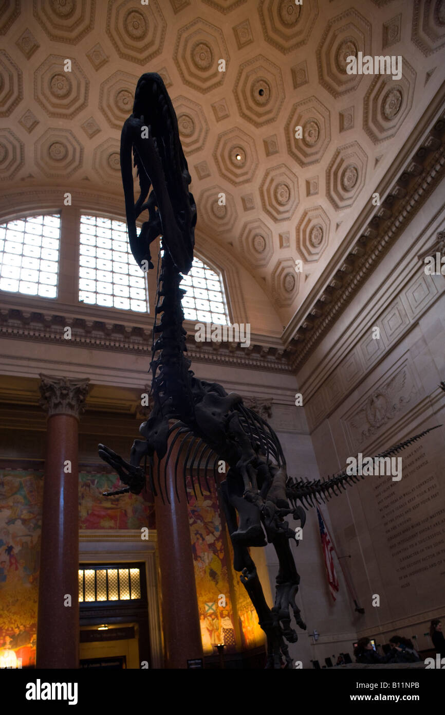 ROOSEVELT ROTUNDA scheletro di Allosaurus il Museo Americano di Storia Naturale MANHATTAN NEW YORK CITY USA Foto Stock