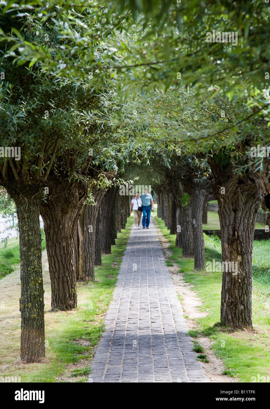 Due persone a distanza di una passeggiata sotto gli alberi di arcuata Belgio Foto Stock