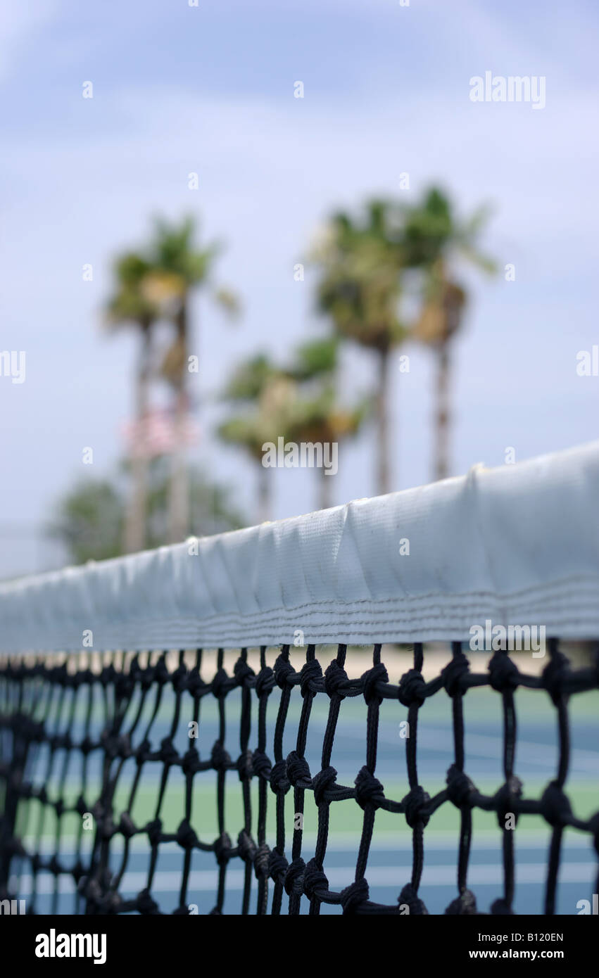 Campo da tennis netting con palme in background Foto Stock