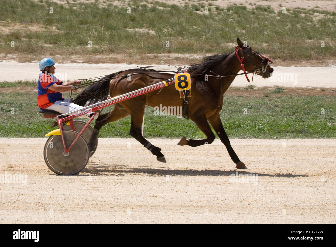 Cinder e sabbia racing a Marsa racetrack, zampetto, corse di cavalli, trotto gare al Racing Club, Racecourse Street, Marsa, Malta. Foto Stock