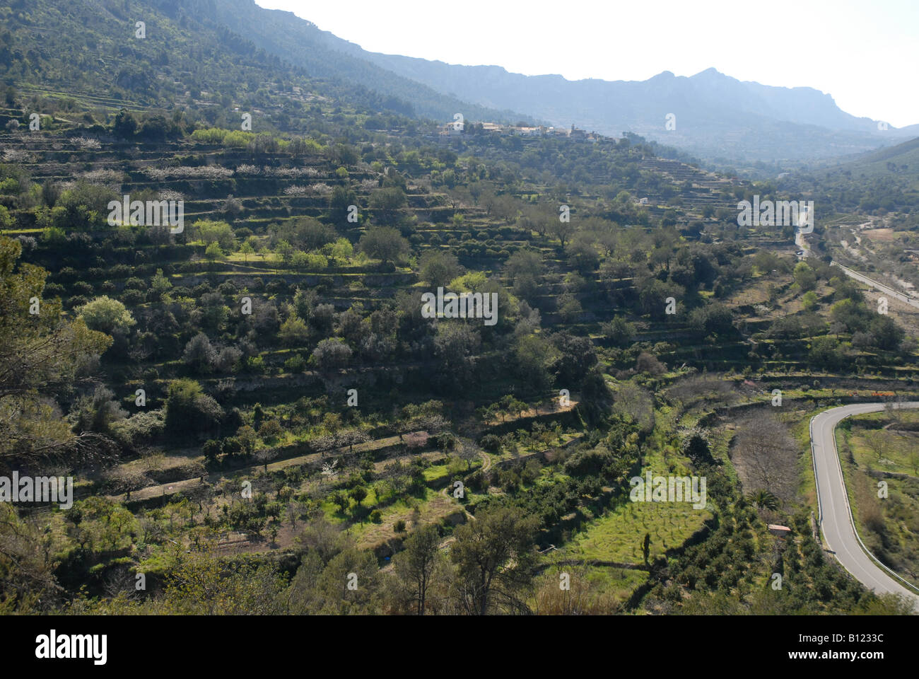 Terrazze di montagna e il villaggio di Benirrama, Vall de Gallinera, Marina Alta, Provincia di Alicante, Comunidad Valenciana, Spagna Foto Stock