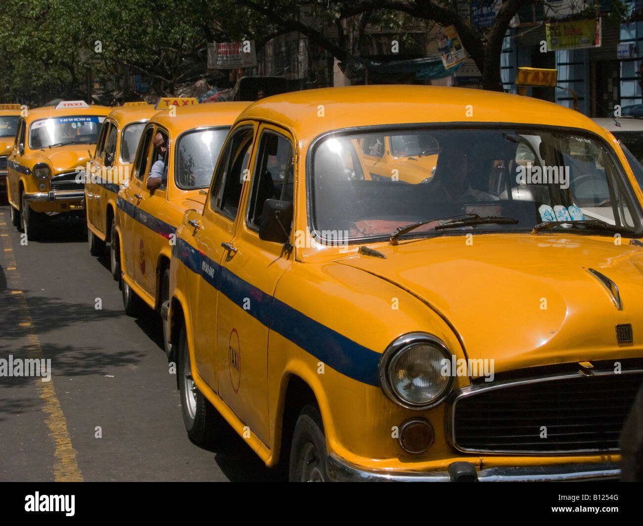 Lineup di ambasciatore classici taxi a Calcutta India Foto Stock