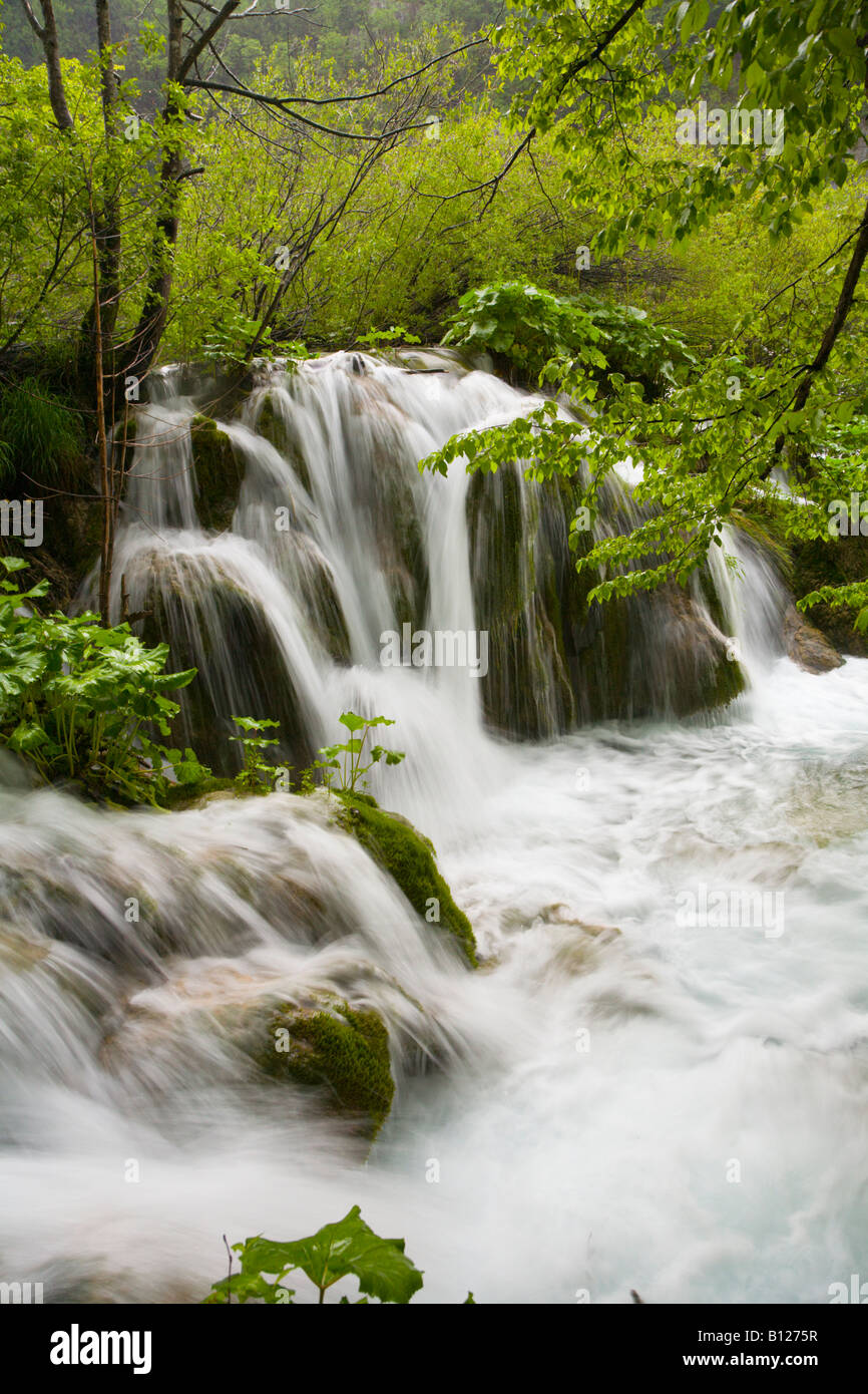 Il parco nazionale di Plitvice in Croazia, inferiore zona dei laghi, una lunga esposizione Foto Stock