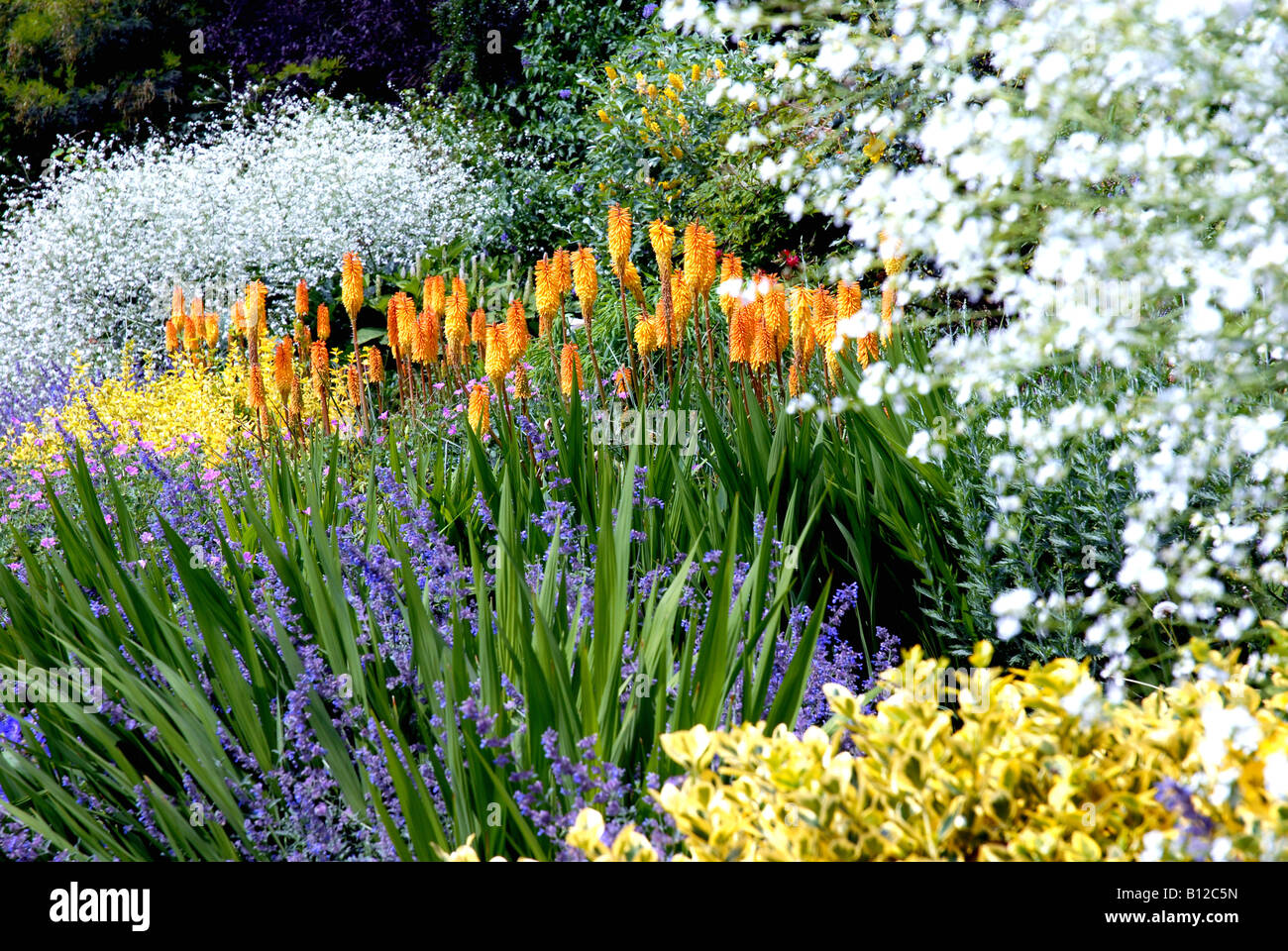 Estate mista confine di fiori in un paese di lingua inglese giardino in stretta fino Foto Stock